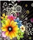 Flores color - Cartela com 10 adesivos
