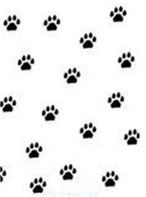 Patinha 001 - Cartela com 10 adesivos